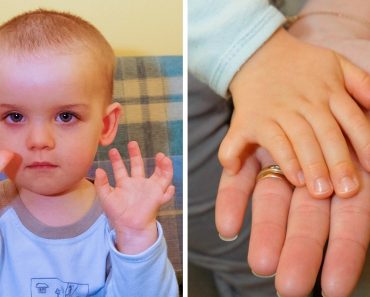 18 kép, amelyek bebizonyítják, hogy a természetnek még mindig vannak kártyái a tarsolyában