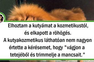 20 gazdi, aki nem ismerte fel a kedvencét kozmetikus után