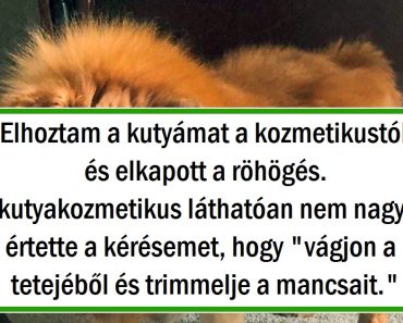 20 gazdi, aki nem ismerte fel a kedvencét kozmetikus után
