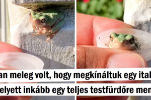 24 kép, amelyek ismét bebizonyítják, hogy a világ tele van kedves szívekkel
