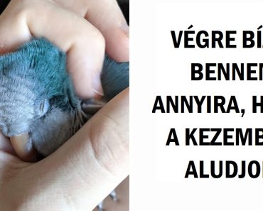 19 kép, amitől egyszerre kap el minden érzés