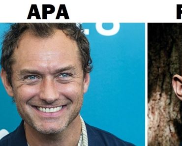 14+ híresség fia, akiknek a jóképűsége túlszárnyalja az édesapjukét