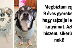 17 alkalom, amikor a barátság és a kedvesség minden akadályt legyőzött