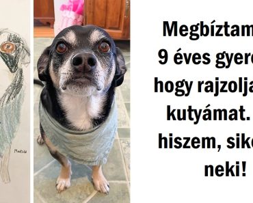17 alkalom, amikor a barátság és a kedvesség minden akadályt legyőzött