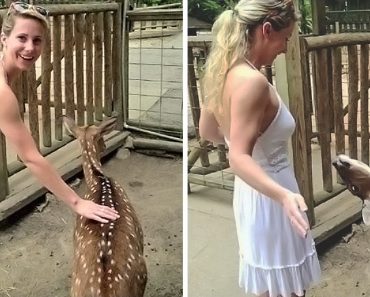 15+ alkalom, amikor az emberek úgy láttak egy műsort, hogy nem is számítottak rá