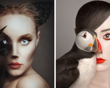 Egy fotós lélegzetelállító portrékat készít arcok és állatok keverésével