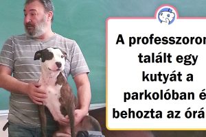15+ fotó, amitől a szíved ki fog ugrani a helyéről