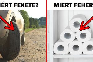 10 hétköznapi dolog, ami jó okkal rendelkezik egyedi színnel
