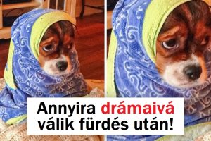 15 érzelmes kép, amitől az egész világot meg akarod ölelni