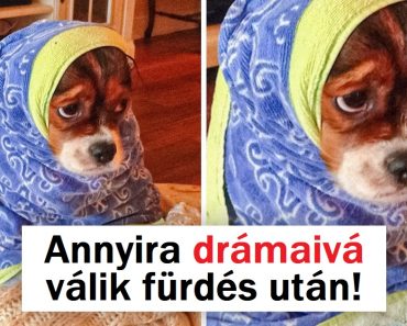 15 érzelmes kép, amitől az egész világot meg akarod ölelni