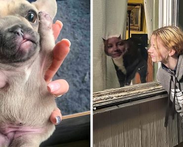 20 alkalom, amikor az emberek elég szerencsések voltak ahhoz, hogy a megfelelő pillanatban fotózzanak le egy képet