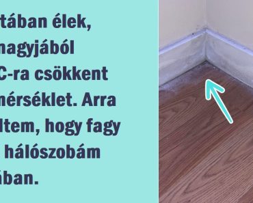 17 fotó, ami megmutatja, milyen az igazi tél