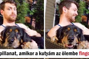 14 fotó, ami a lehető legjobb pillanatban készült