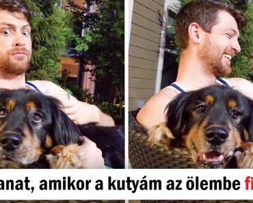 14 fotó, ami a lehető legjobb pillanatban készült