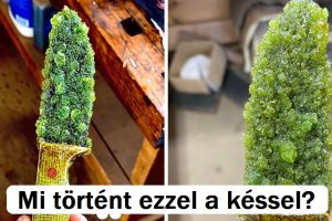 15 kép, amelyek kíváncsivá tesznek minket, hogy megismerjük a mögöttes történetet