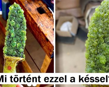 15 kép, amelyek kíváncsivá tesznek minket, hogy megismerjük a mögöttes történetet