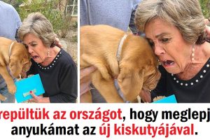 15+ ember, aki tudja, hogyan kell a szeretteit boldog könnyekre fakasztani
