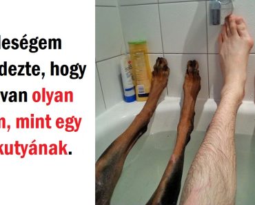 14 ember, akik komikus helyzetekbe kerültek, és egyszerűen meg kellett osztaniuk