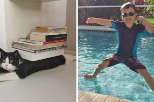17 kép, amit egy nagyon ritka pillanatban rögzítettek