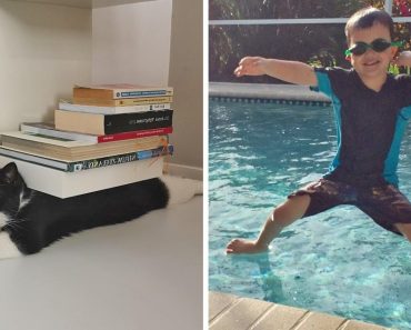 17 kép, amit egy nagyon ritka pillanatban rögzítettek