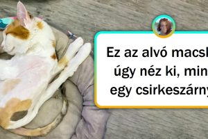 15 kép, amelyek garantáltan játszanak az elméddel