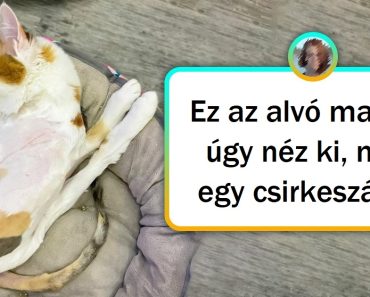 15 kép, amelyek garantáltan játszanak az elméddel