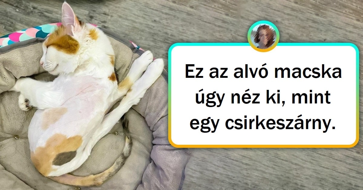 15 kép, amelyek garantáltan játszanak az elméddel