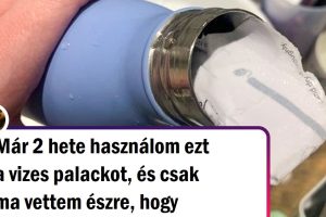 20 kép, ami bizonyítja, hogy egy testvérrel egy életre garantált a szeretet és a szórakozás