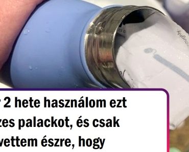 20 kép, ami bizonyítja, hogy egy testvérrel egy életre garantált a szeretet és a szórakozás