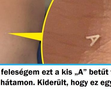 17 ember megosztotta az egyedi leleteit, amit valószínűleg soha nem fognak elfelejteni