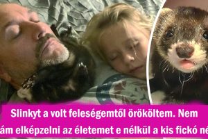 22 háziállat, akiknek még a legkeményebb embereket is sikerült megnyerniük.