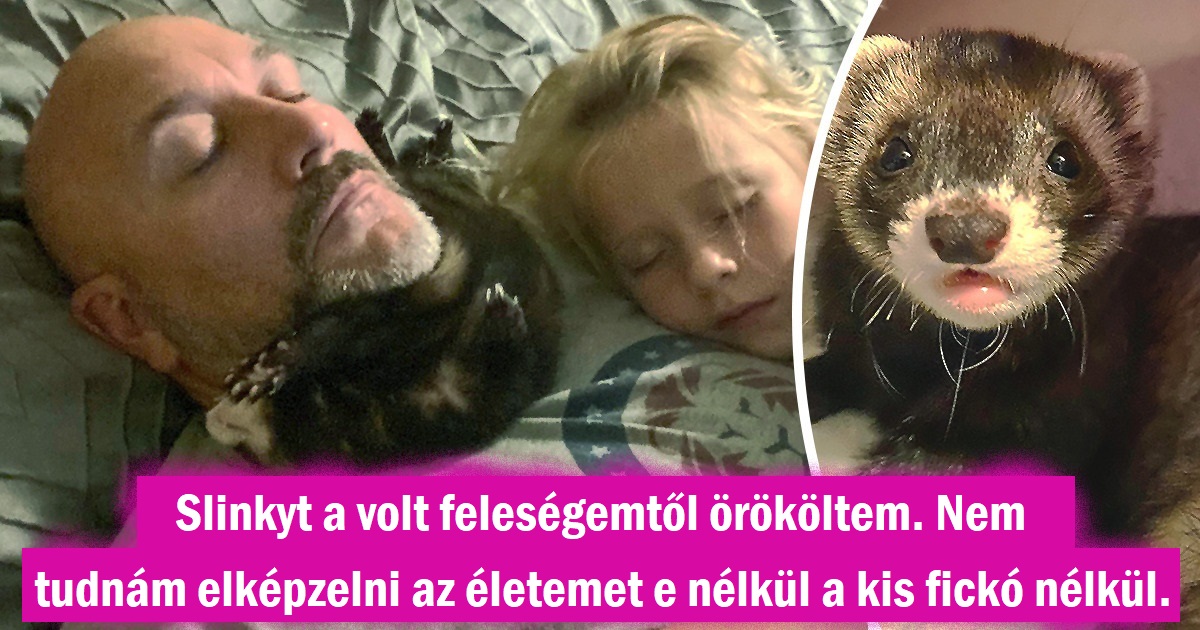 22 háziállat, akiknek még a legkeményebb embereket is sikerült megnyerniük.