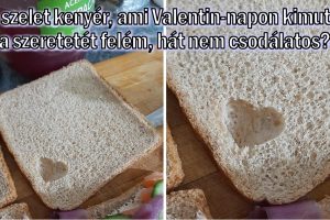 15+ kép, amelyek bebizonyítják, hogy mindannyian nap mint nap tanúi lehetünk egy kis csodának