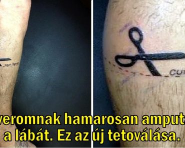 15+ ember, akiknek az önéletrajzában szerepel a problémamegoldó képesség 15+ ember, akiknek az önéletrajzában szerepel a problémamegoldó képesség