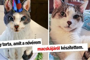 15 alkalom, amikor a kreativitás találkozott a funkcionalitással és csodálattal töltött el minket