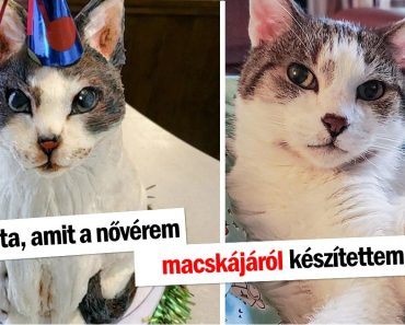 15 alkalom, amikor a kreativitás találkozott a funkcionalitással és csodálattal töltött el minket