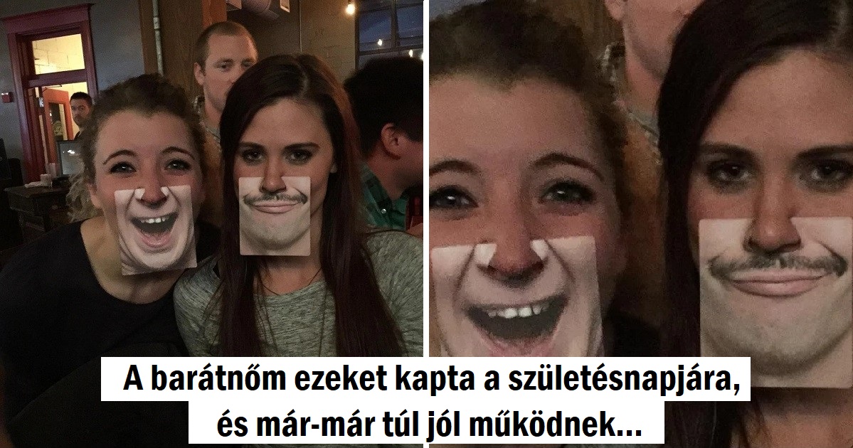 15 kép, ami bizonyítja, hogy egy percig sem fogsz unatkozni, ha van egy barátod