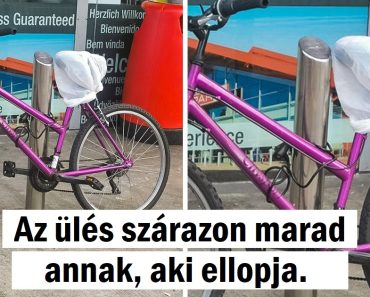 15+ személy, aki egyértelműen nem gondolt bele, hogy mit is csinált valójában