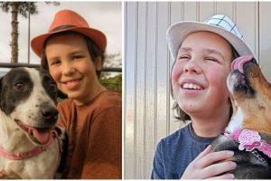 A 11 éves fiú minden szombaton kóbor kutyákat fürdet meg, hogy segítsen nekik otthont találni