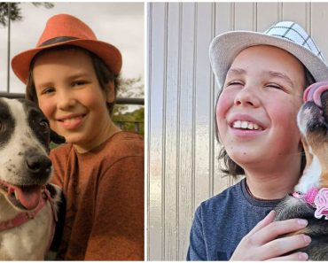 A 11 éves fiú minden szombaton kóbor kutyákat fürdet meg, hogy segítsen nekik otthont találni