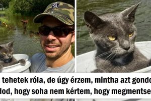 15 kép, amelyek megörökítik az érzelmek teljes spektrumát