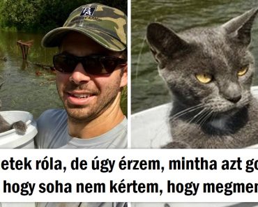 15 kép, amelyek megörökítik az érzelmek teljes spektrumát 15 kép, amelyek megörökítik az érzelmek teljes spektrumát