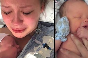 A fiatal apa meghal álmában, így az anya érzelmes üzenetet ír a fiának, mielőtt örökbe adja