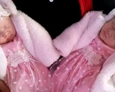 Hófehér hajú ikreket szült az anya, évekkel később is megmutatják szokatlan szépségüket Hófehér hajú ikreket szült az anya, évekkel később is megmutatják szokatlan szépségüket