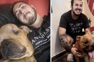 A férfi egy 4 család által elutasított daganatos kutyát fogad örökbe, hogy „feltétel nélküli szeretetben” élhesse le hátralévő napjait