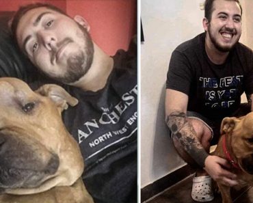 A férfi egy 4 család által elutasított daganatos kutyát fogad örökbe, hogy “feltétel nélküli szeretetben” élhesse le hátralévő napjait