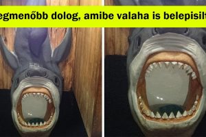 15 alkalom, amikor az emberek furcsa dolgokat találtak, és mi nem tudtunk mást tenni, mint elborzadni
