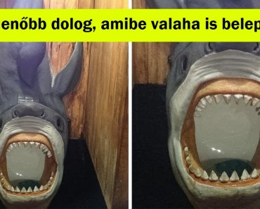 15 alkalom, amikor az emberek furcsa dolgokat találtak, és mi nem tudtunk mást tenni, mint elborzadni