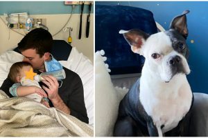 Egy kutya mentette meg a kislány életét, miután leállt a légzése az éjszaka közepén