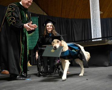 A szolgálati kutya segítette gazdáját az egyetemen, így az egyetem saját diplomát adott neki